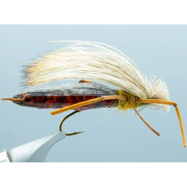 Trina's Dog Puke Salmonfly #6 - Your Premium Fishing Gear Store Rods Lines Baits Accessories^ Outlet