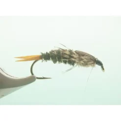 Twenty Incher #6 - Your Premium Fishing Gear Store Rods Lines Baits Accessories^ Fashion