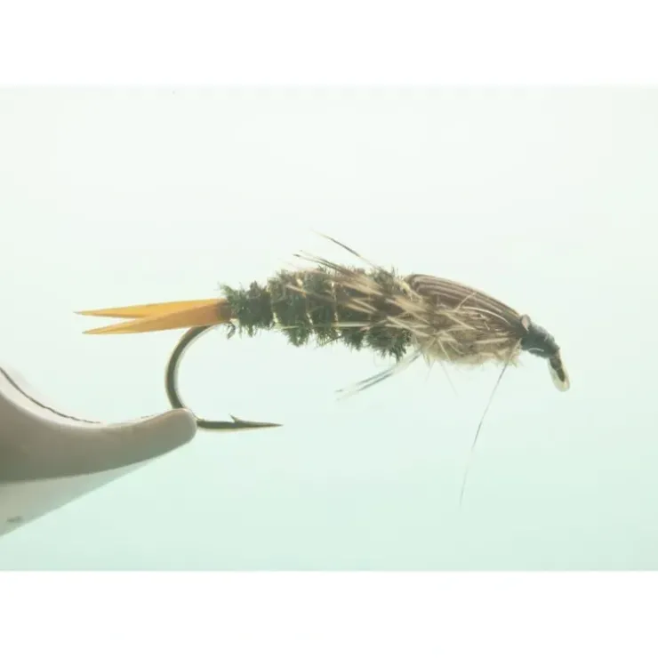 Twenty Incher #6 - Your Premium Fishing Gear Store Rods Lines Baits Accessories^ Fashion