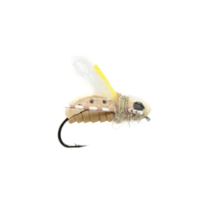 Unsinkabeetle Tan - Your Premium Fishing Gear Store Rods Lines Baits Accessories^ Outlet