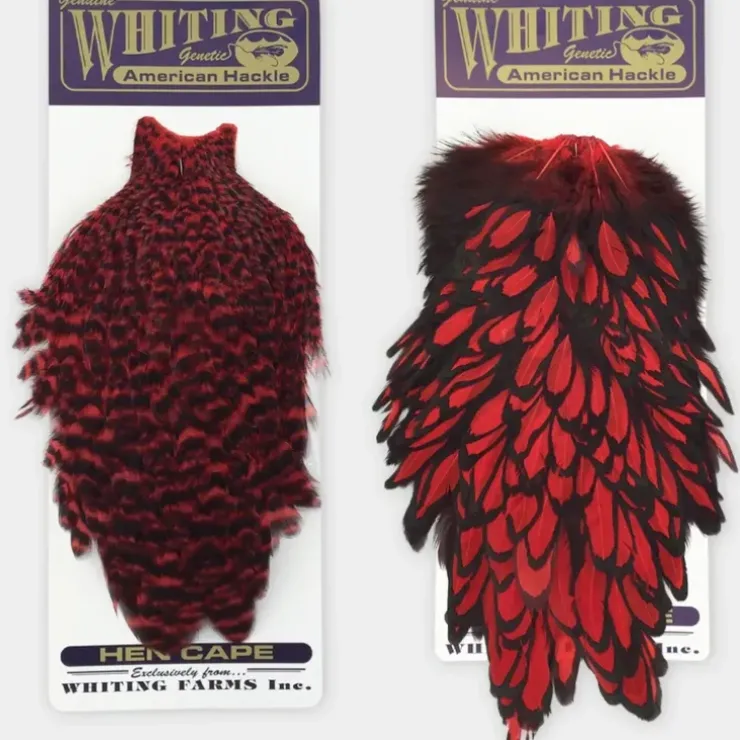 Whiting American Hen Saddle - Your Premium Fishing Gear Store Rods Lines Baits Accessories^ Shop