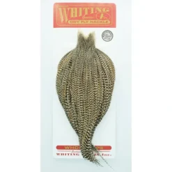 Whiting Cape Bronze - Your Premium Fishing Gear Store Rods Lines Baits Accessories^ Best