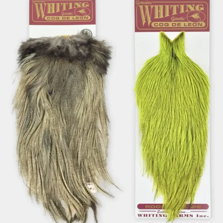 Whiting Coq de Leon Cape - Your Premium Fishing Gear Store Rods Lines Baits Accessories^ Shop