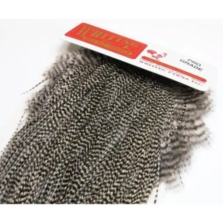 Whiting Full Saddle Pro Grade - Your Premium Fishing Gear Store Rods Lines Baits Accessories^ Fashion