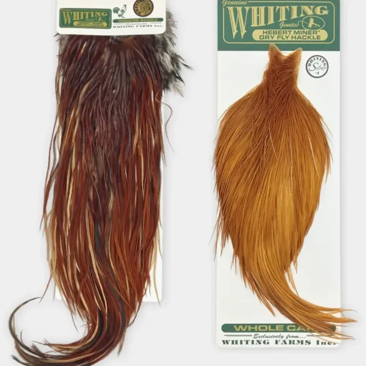 Whiting Hebert Miner Bronze 1/2 Cape - Your Premium Fishing Gear Store Rods Lines Baits Accessories^ Store