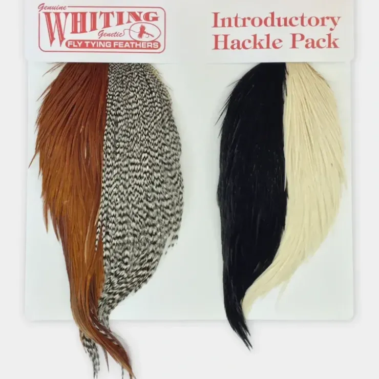 Whiting Introductory Hackle Pack - Four 1/2 Capes - Your Premium Fishing Gear Store Rods Lines Baits Accessories^ Flash Sale