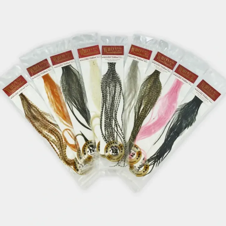 Whiting 100 Pack #18 - Your Premium Fishing Gear Store Rods Lines Baits Accessories^ Best Sale